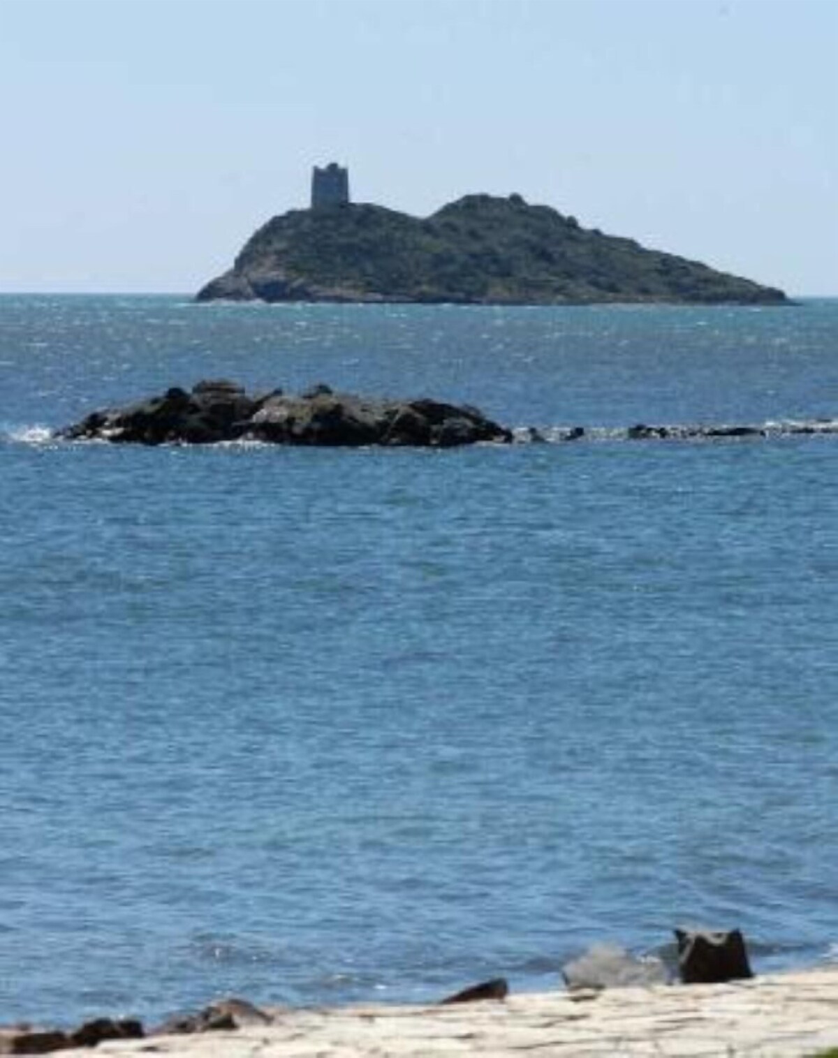 Imagen de perfil del propietario o de la propietaria