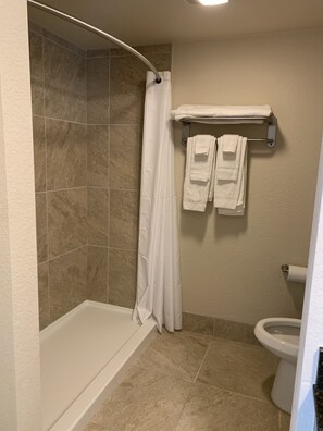 Habitación doble ejecutiva | Regadera en el baño