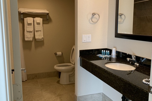 Hair dryer, towels, soap, shampoo