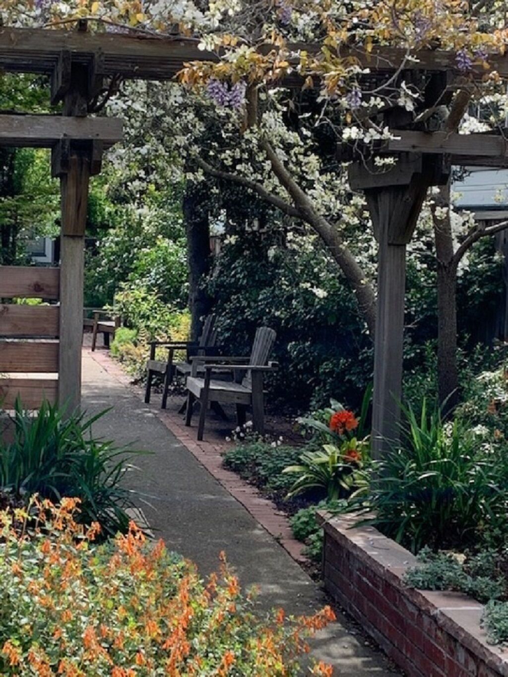 Garden Bungalow Apt on the Island of Alameda