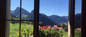 Holiday flat GsÀssweid