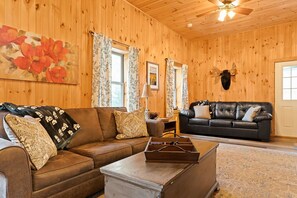 Smart TV, fireplace, DVD player, books