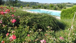 Uma piscina rodeada por vegetação exuberante e plantas floridas.