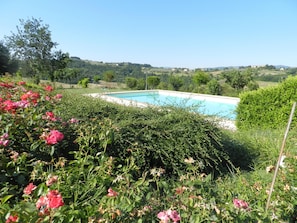 Outdoor pool - THE SUNFLOWER apartment (collazzone)
