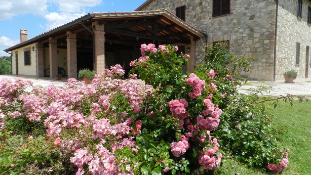 Edifício de pedra com alpendre coberto e rosas cor-de-rosa vibrantes em primeiro plano.