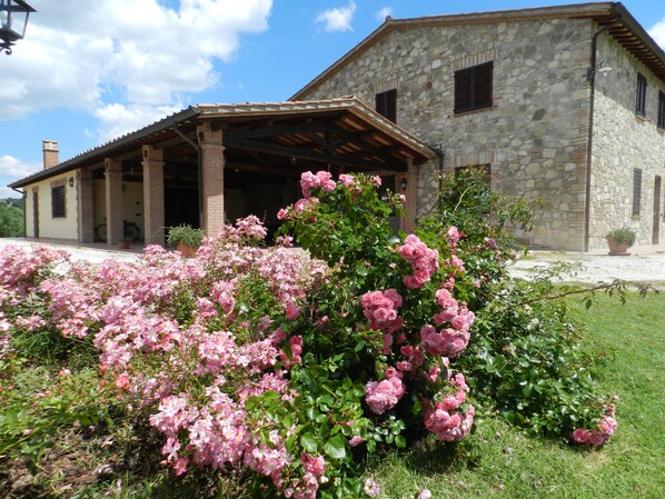 Exterior - THE SUNFLOWER apartment (collazzone)