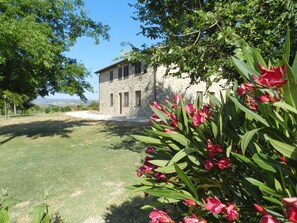 Property grounds - THE SUNFLOWER apartment (collazzone)