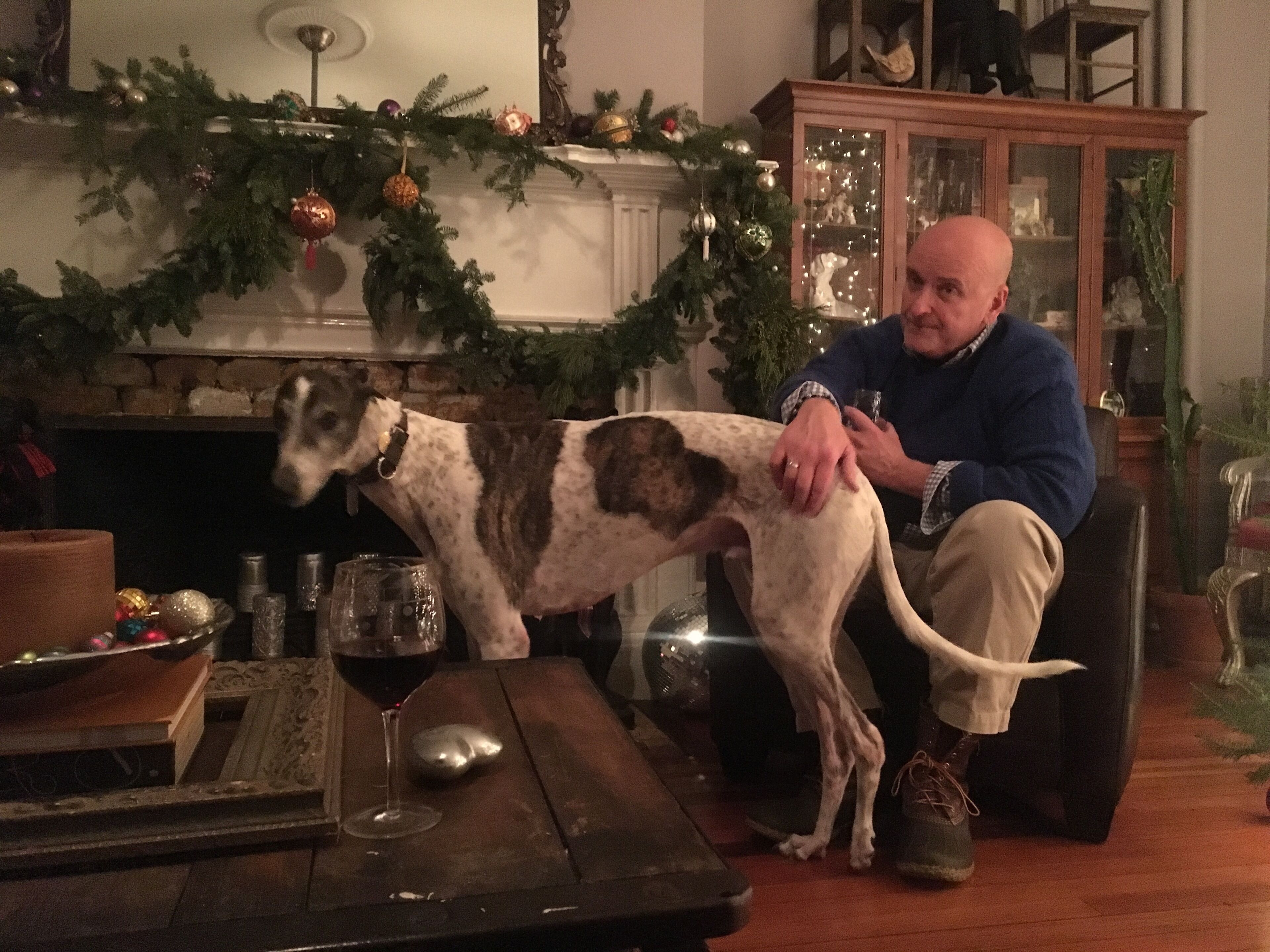 Een man zit op een stoel, met een hond die naast hem staat. Er is een open haard met een guirlande en een glazen bijzettafeltje met een wijnglas en een schaal fruit.