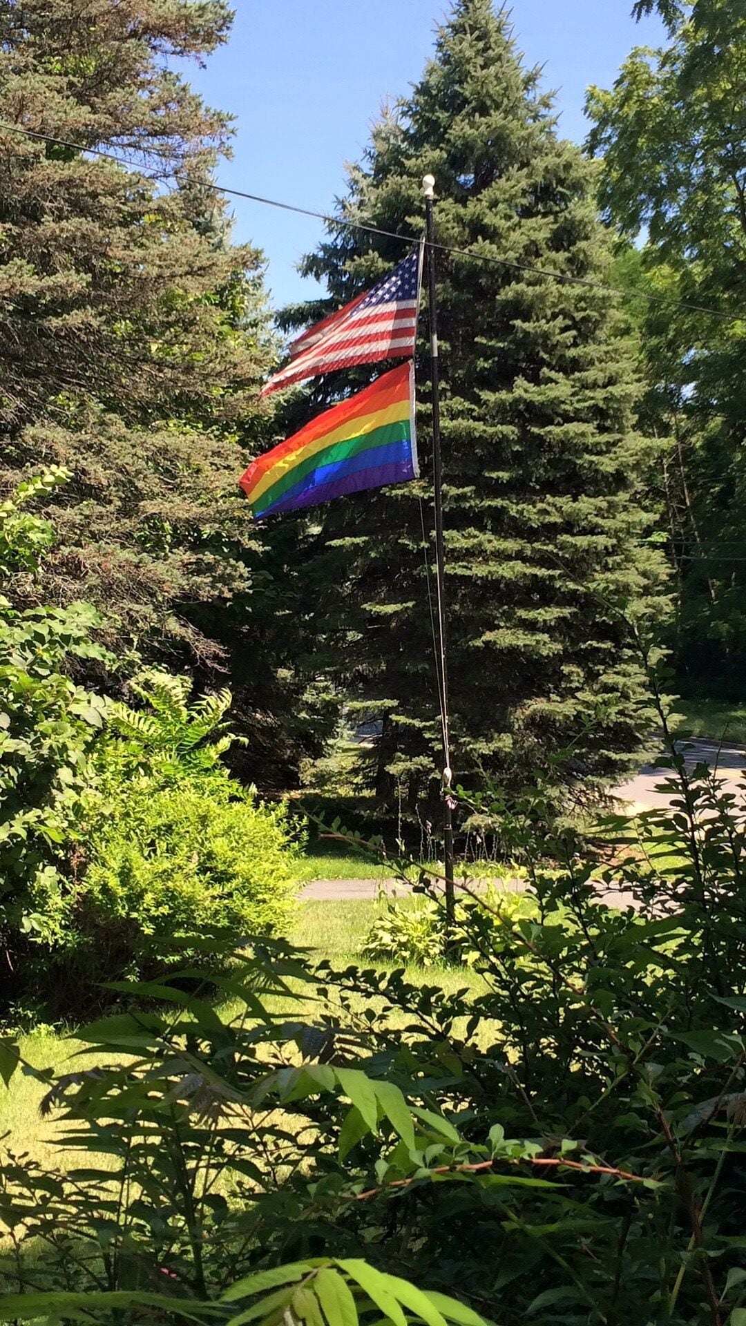 Een vlaggenmast met een Amerikaanse vlag en een regenboogvlag in een bebost gebied.
