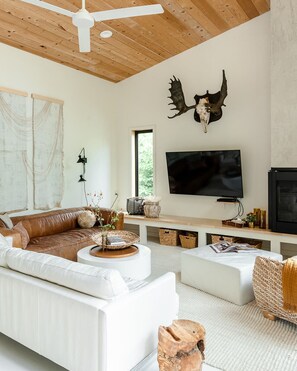 TV, fireplace, DVD player