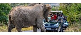 Enjoy the beauty of nature . See the mountain view when standing outside