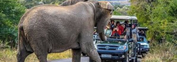 Unclassified image, 1 of 3, button