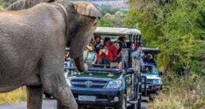 Enjoy the beauty of nature . See the mountain view when standing outside