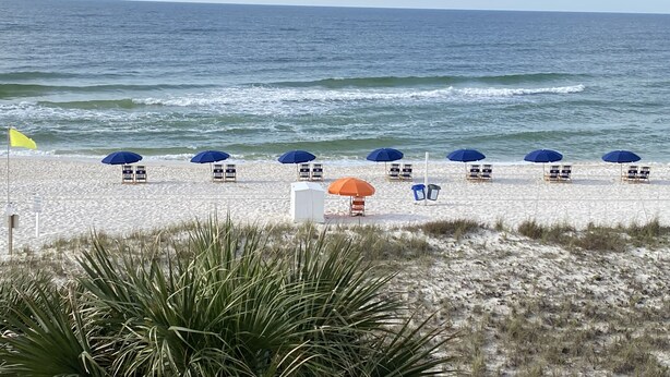 A beach with rows of sun loungers and umbrellas, a flag, and a signboard.