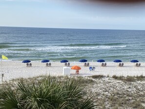A beach with rows of sun loungers and umbrellas, a flag, and a signboard.