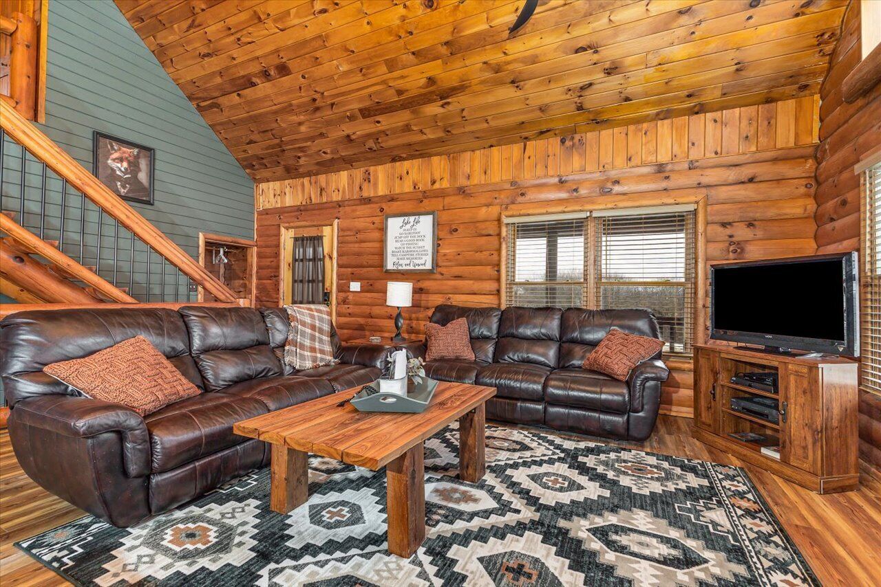 電視、壁爐、DVD 播放機