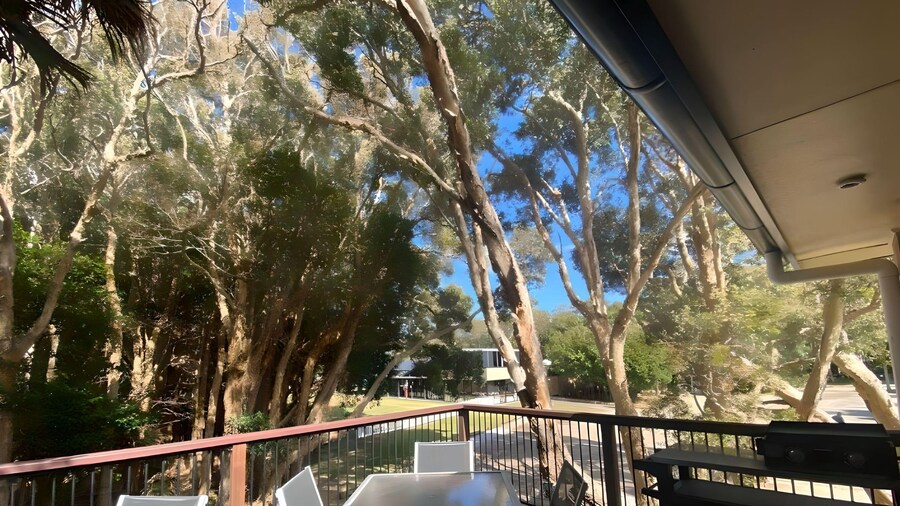 Tiona Palms Holiday Park