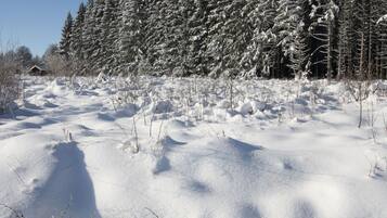 Nhà gỗ | Ngoại thất