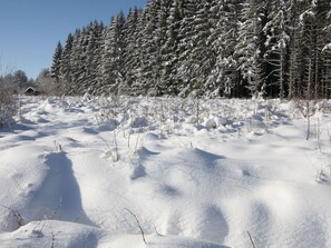 شاليه | المنشأة من الخارج