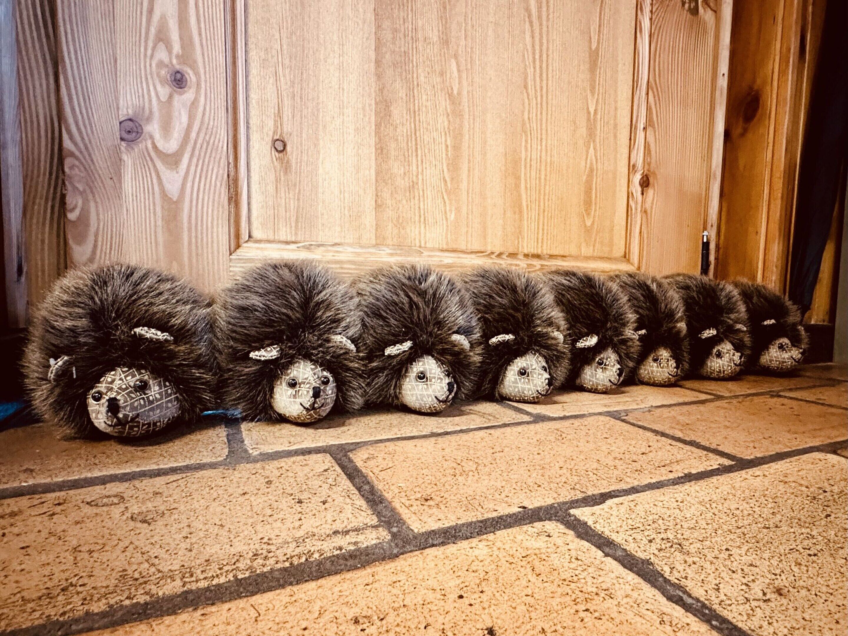 A row of plush toys lined up against a wooden door.