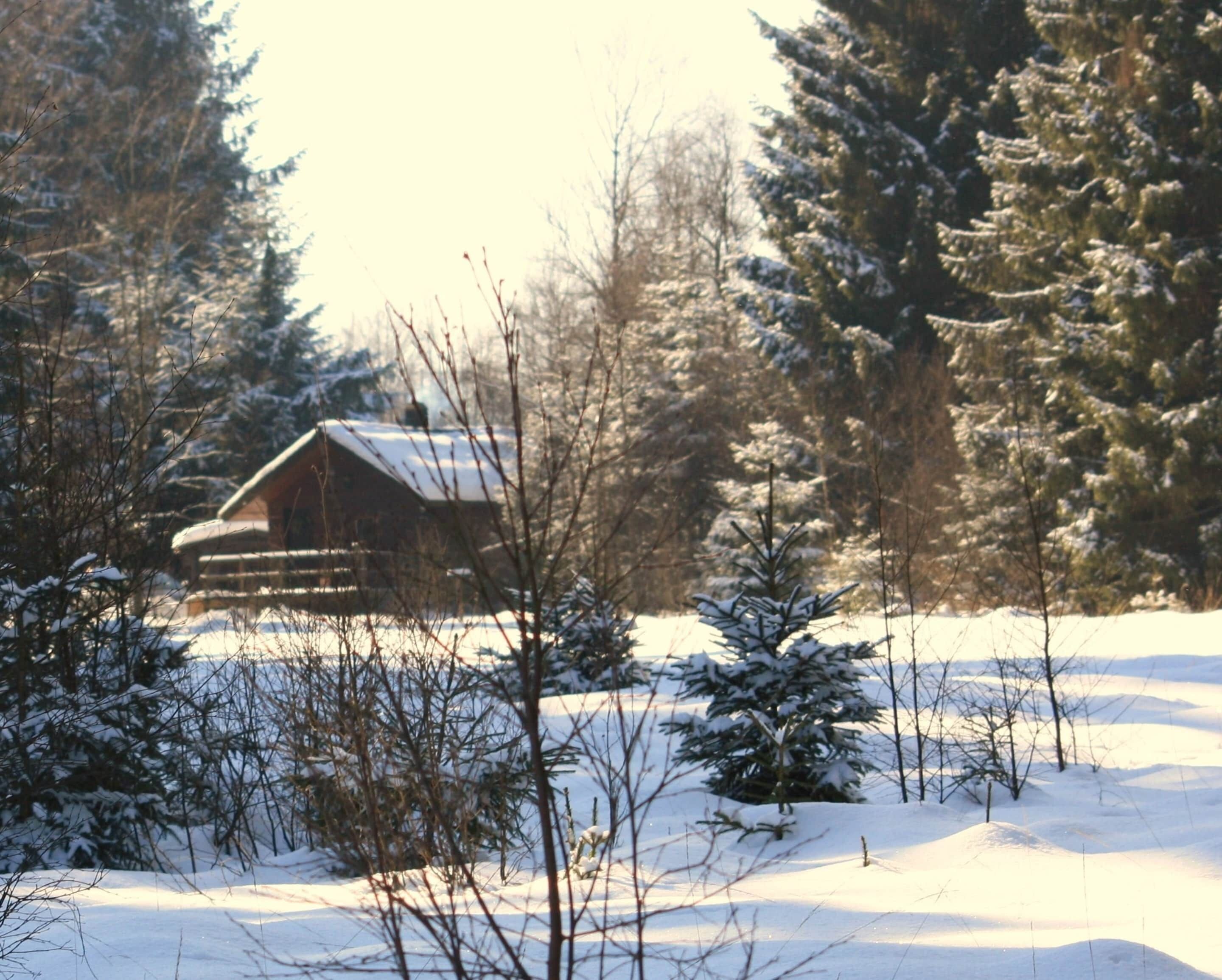 A cabin in a snowy landscape with trees around.