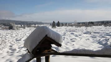 Chalet | View from property