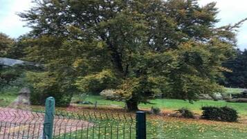 Rumah | Pemandangan dari properti