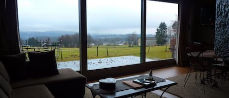 House | Living room | Fireplace