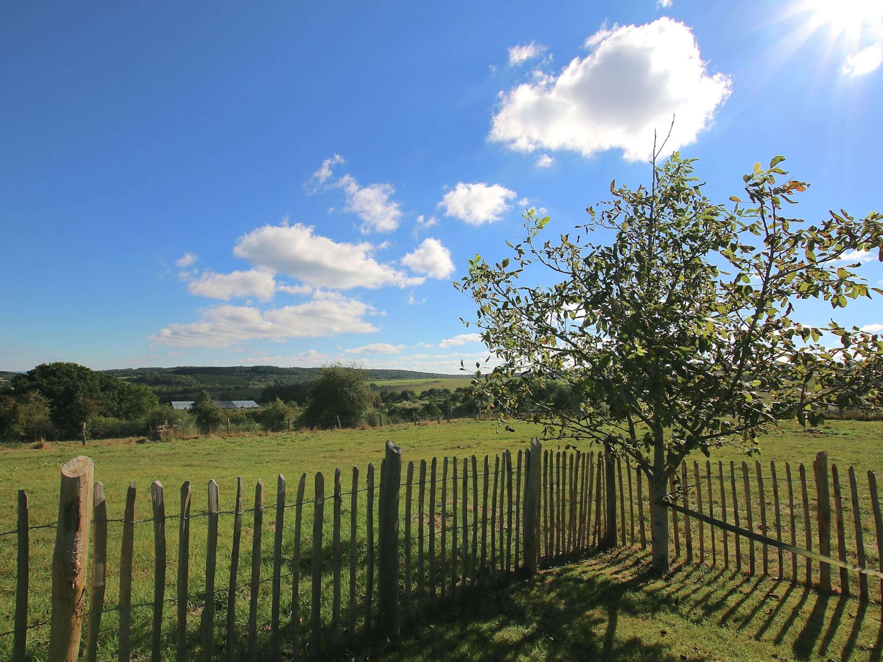 A fenced field with a tree in the foreground and a lake in the background.