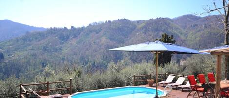 House | Pool | Indoor pool, outdoor pool