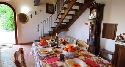 Spacious Farmhouse in Montecarotto With Private Terrace