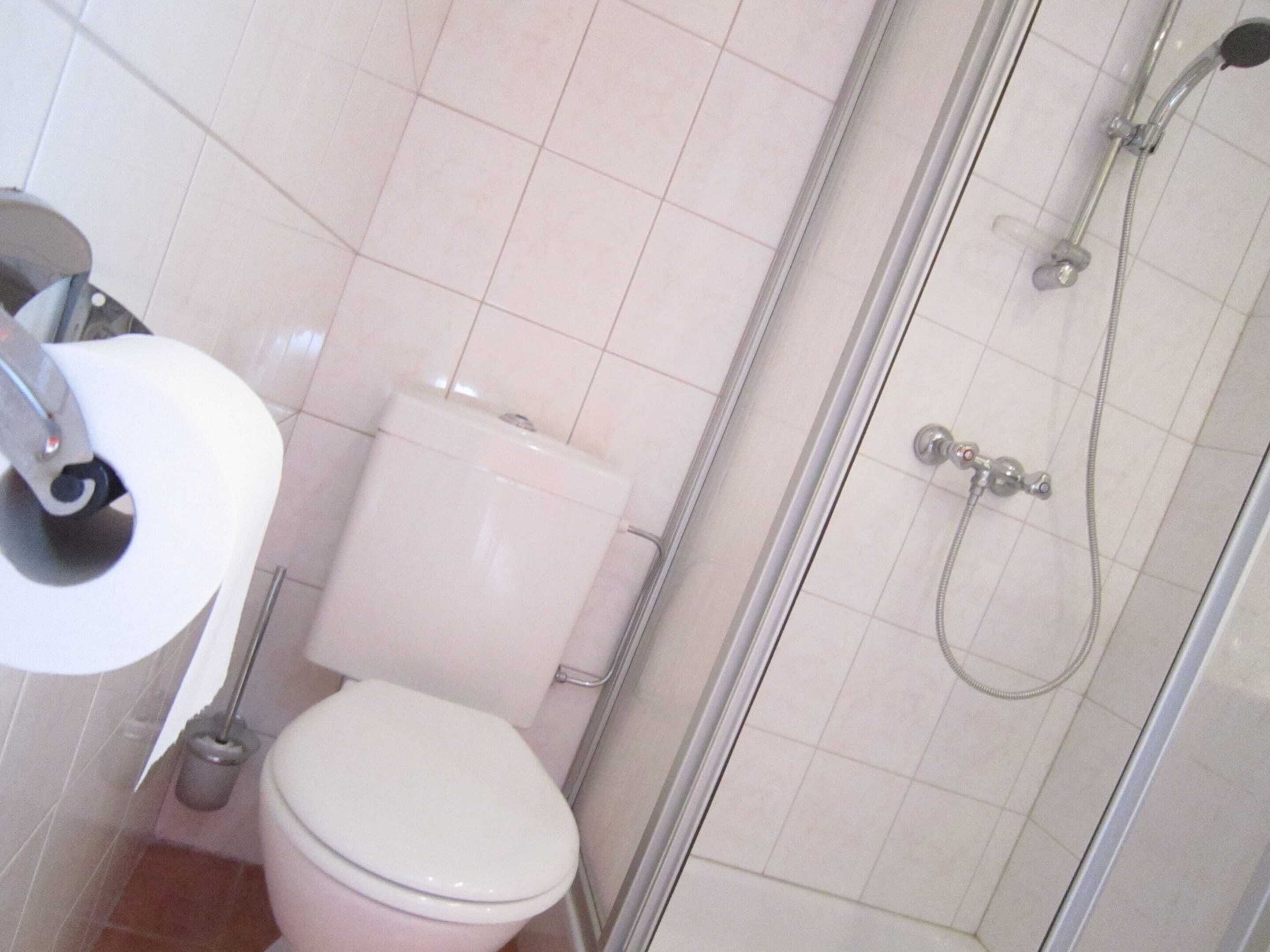 A bathroom with a toilet, a shower, and a toilet paper holder.