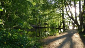 A tranquil pathway leading to a gazebo by a calm lake, surrounded by lush greenery. - Beautiful Authentic Mill Close to the Beach (Wangels)