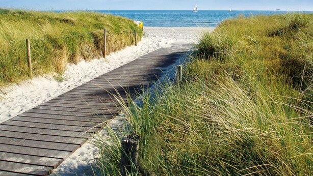 A wooden boardwalk leading to a beach with sand and grassy dunes. - Beautiful Authentic Mill Close to the Beach (Wangels)