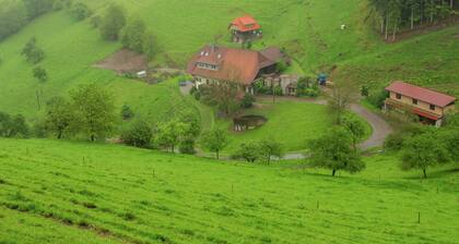 Apartment mit Spass, Muhlenbach