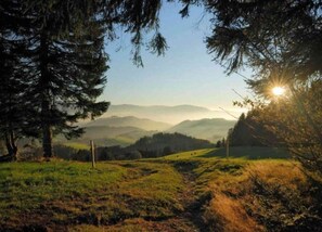 Ferienhaus | Blick von der Unterkunft