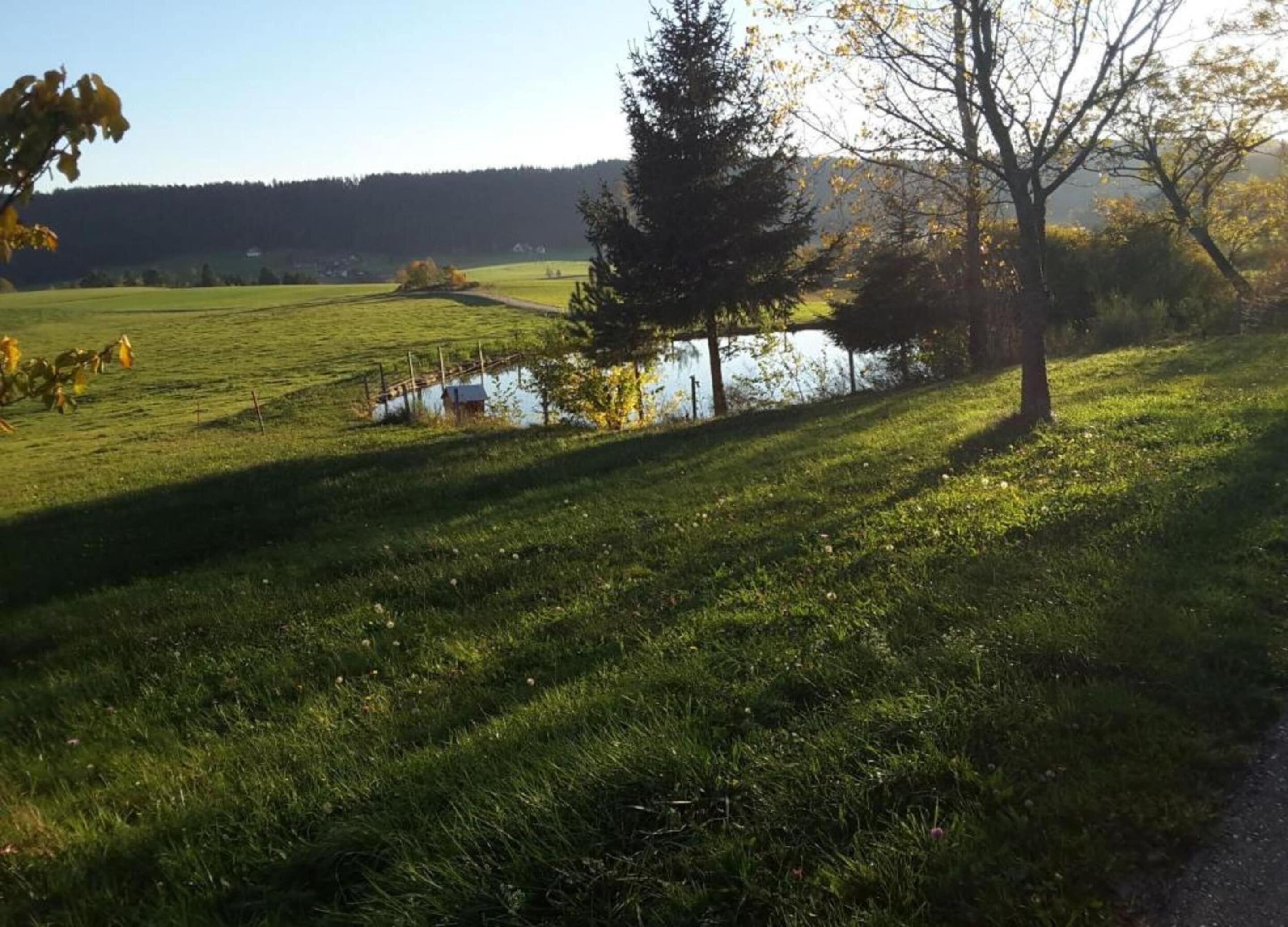 Un paysage rural avec un étang, des arbres et un ciel dégagé.
