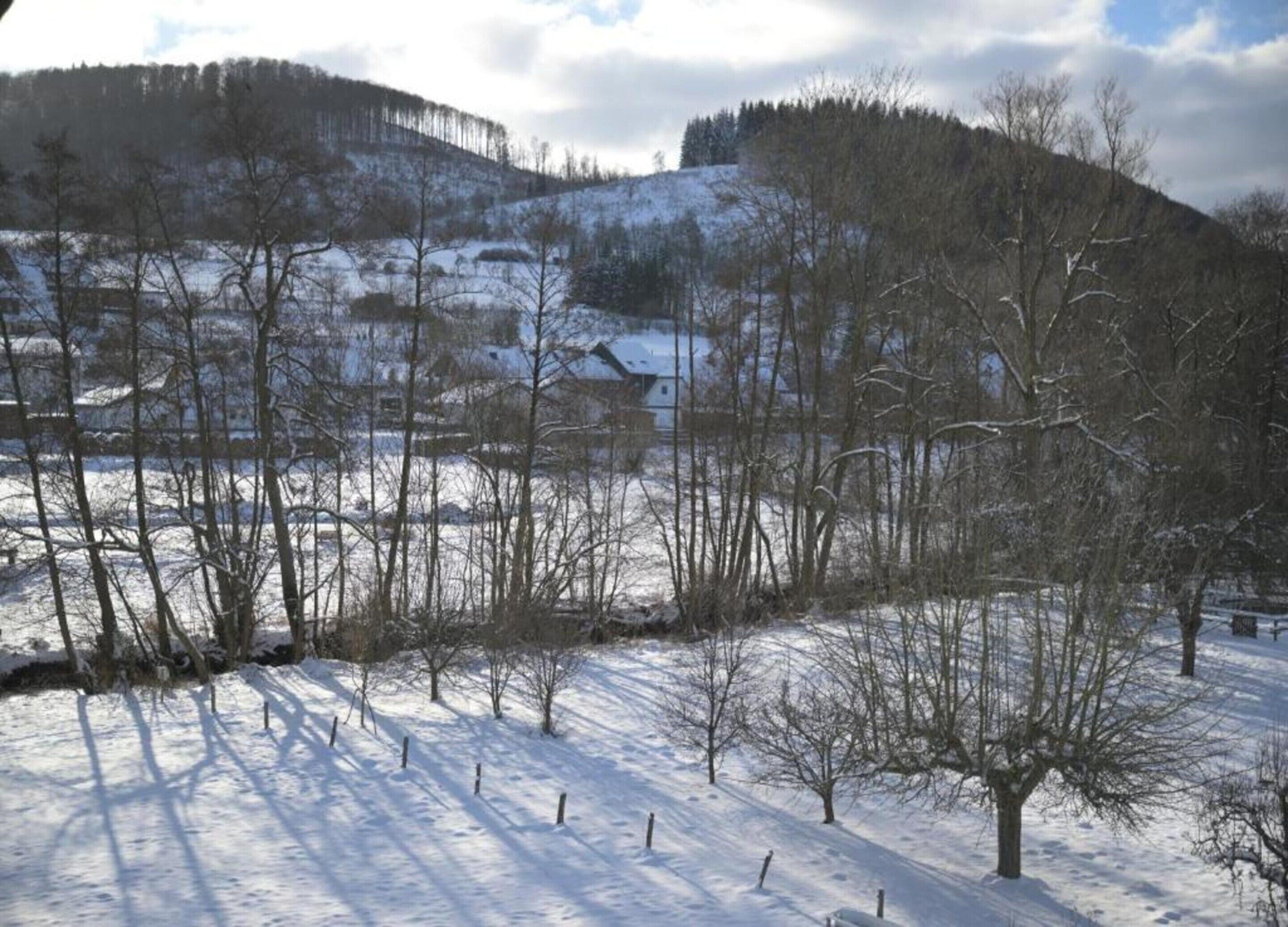 A snowy landscape with bare trees and a hill in the background.