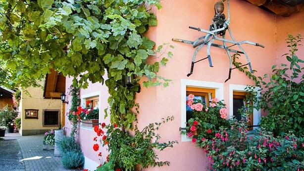 Un edificio de fachada rosa, una pared cubierta de hiedra y una escultura colgante.