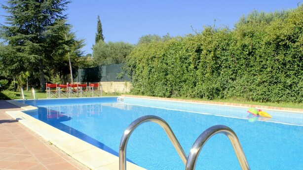 Une piscine dotée de rampes métalliques, entourée d’une terrasse carrelée et d’une haie.