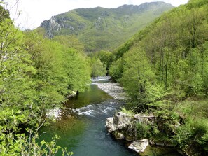 Cottage | View from property