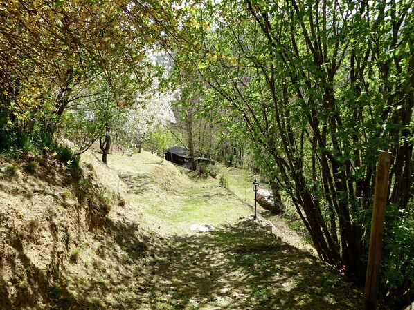 Cottage | Garden
