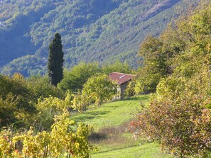 Garden - Cottage in Casoli Near Ski Slopes (Bagni di Lucca)