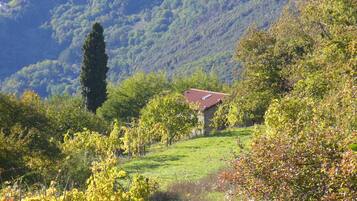 Casa de campo | Jardim