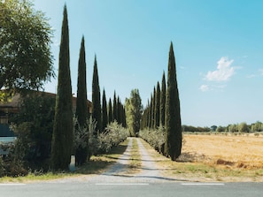 A road flanked by tall, narrow trees, leading to a building with a red roof. - Belvilla by OYO Gli Archi (Cortona)