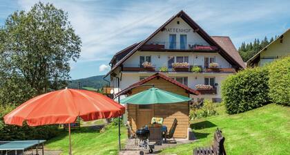 Spacious Apartment in Wehrhalden near Cross Country Skiing