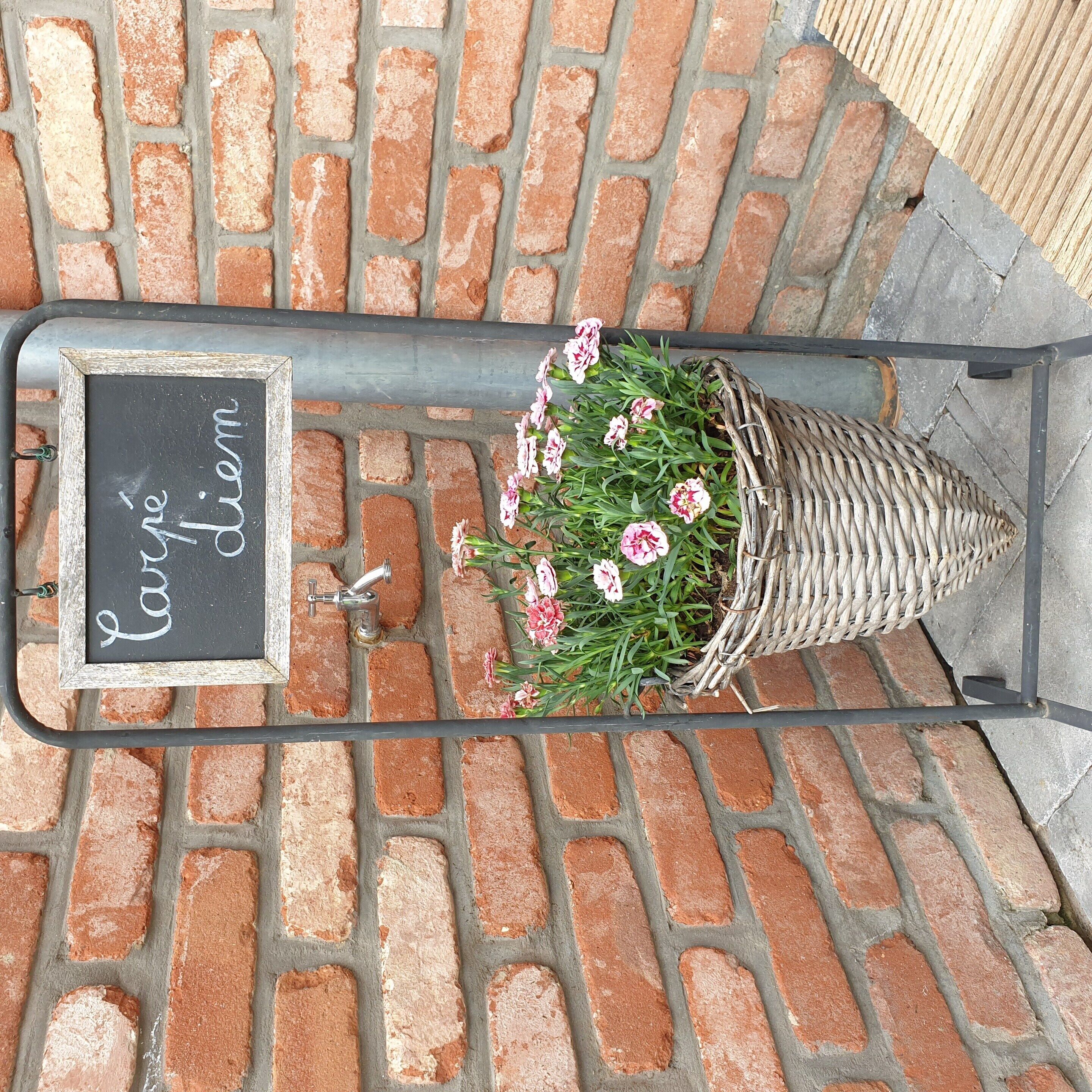 Una pizarra con la inscripción 'Carpe Diem', una cesta de mimbre con flores rosas y una estructura metálica.