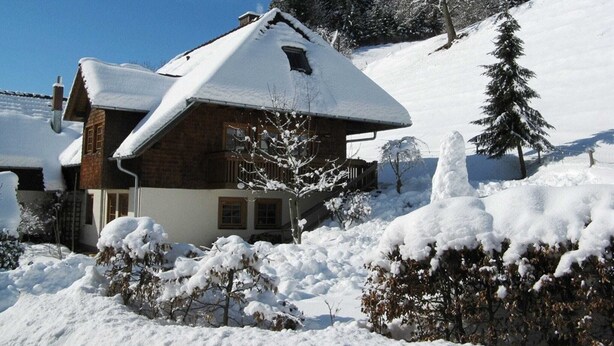 Exterior - Beautiful Farmhouse Near the ski Area (Buchenbach)