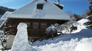 Exterior - Beautiful Farmhouse Near the ski Area (Buchenbach)