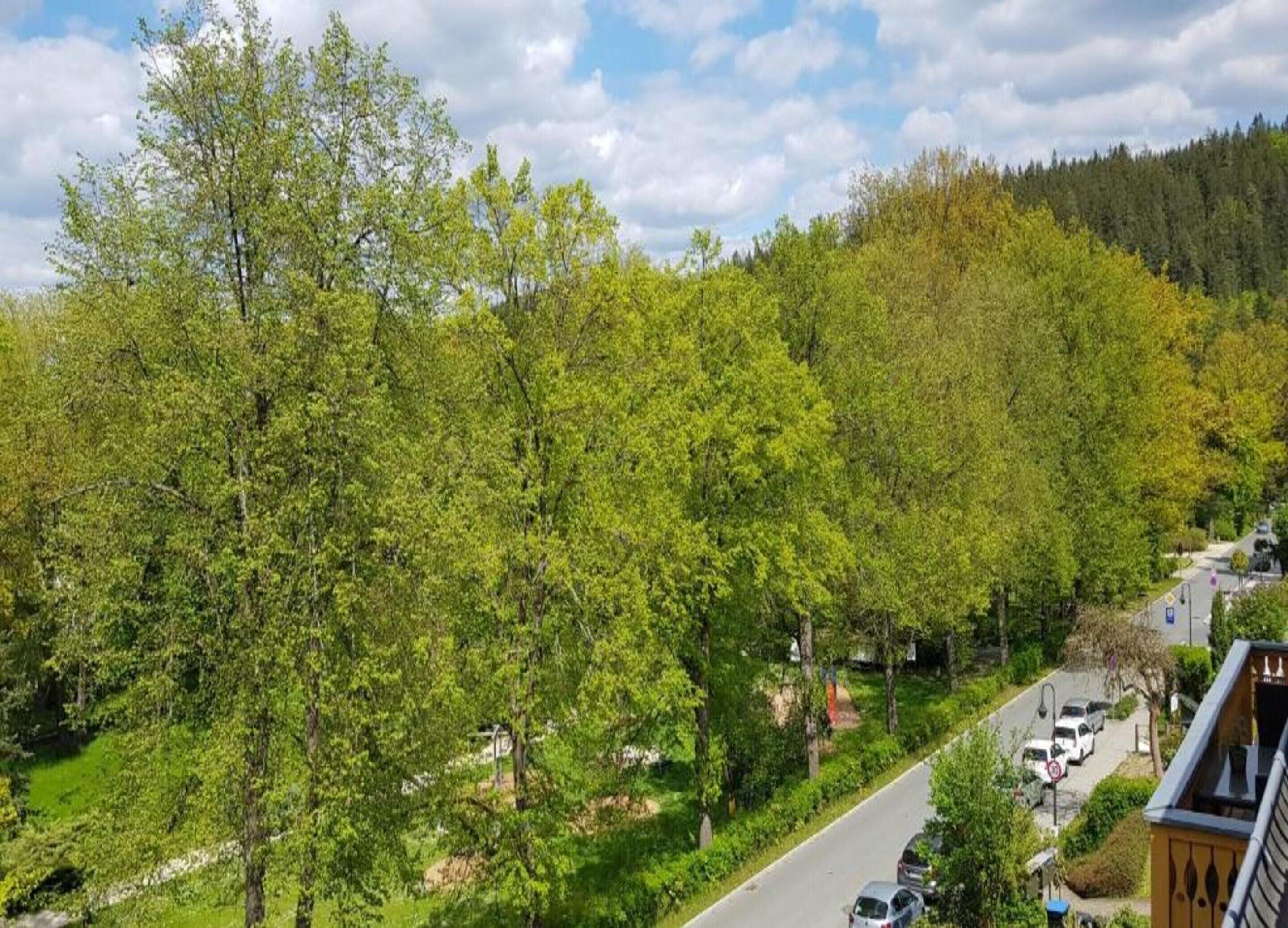 A residential area with a road, parked cars, and a forested hill in the background.